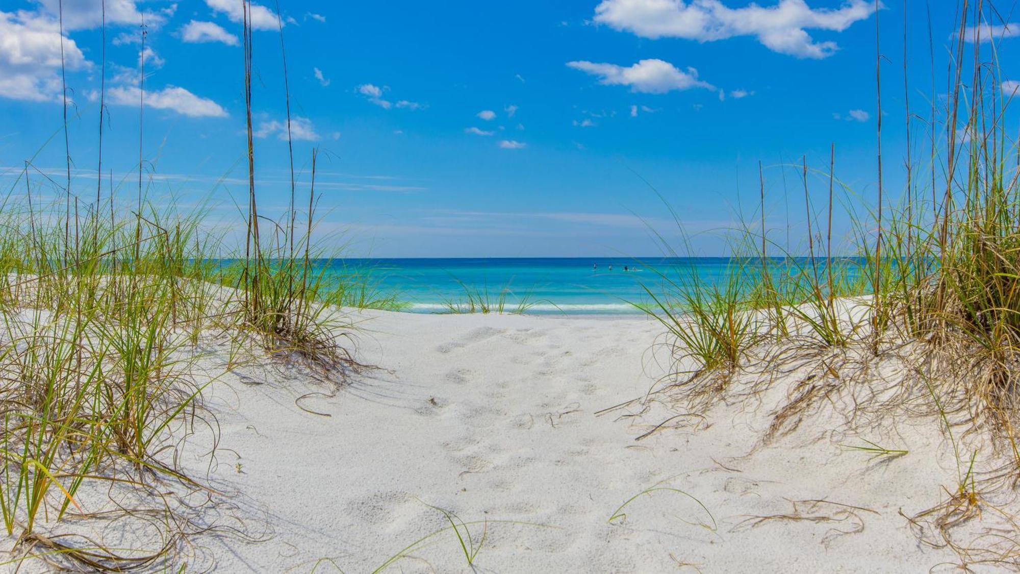 2 Gulf View Balconies! 3 Story Townhome With 4 Bedrooms, 4 Bathrooms! Sleeps12 Panama City Beach Eksteriør billede